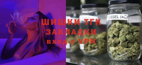 индика Заволжье